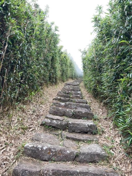 大屯山(小百岳# 001) &小油坑山2898848