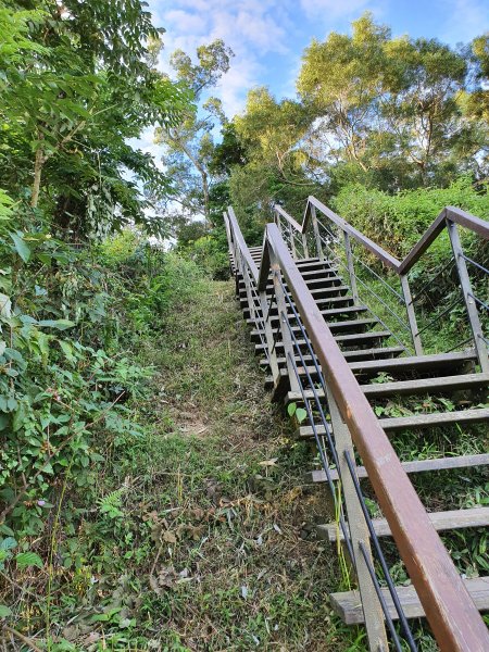 步道巡訪員 l 1090606龍過脈步道巡訪任務985898