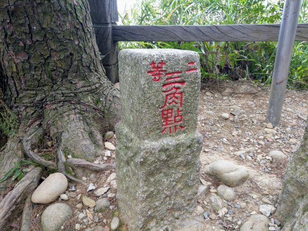 頭嵙山(小百岳#41)大坑4,5,1步道1003697