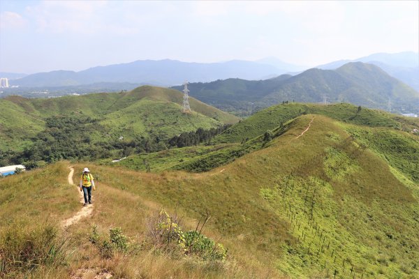 HK - 鐵坑，蛇嶺1268078