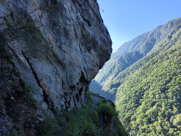 [玉山尋寶任務-07/12] 2025_0824 八通關雲龍瀑布步道2870580