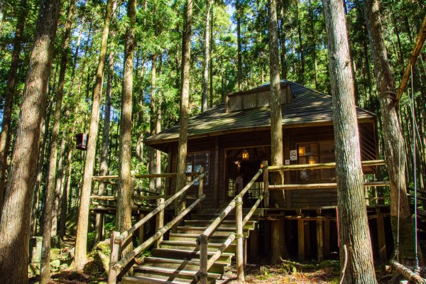 馬武督探索森林2930680