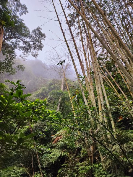 小百岳集起來-石牛山2183131