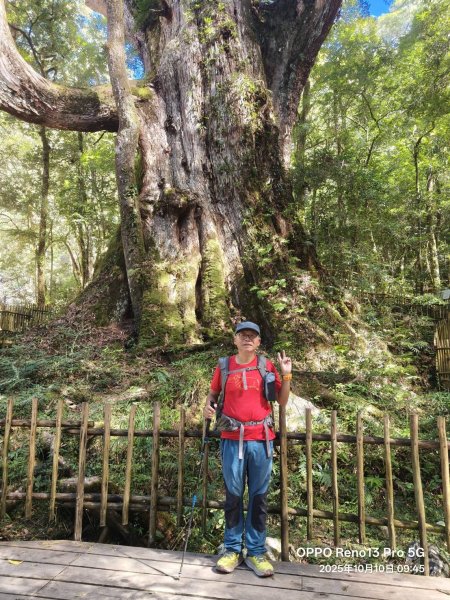 [皮皮獅探險隊-11/10] 2025_1010 隱藏任務–司馬庫斯神木群步道2912313