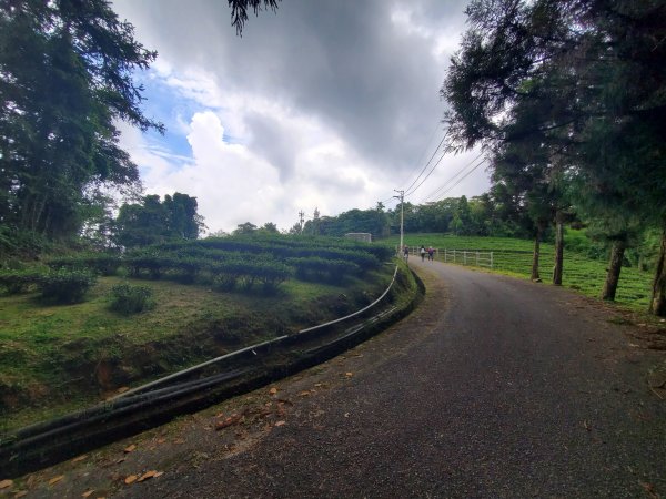 【南投|貓囒山】1049767