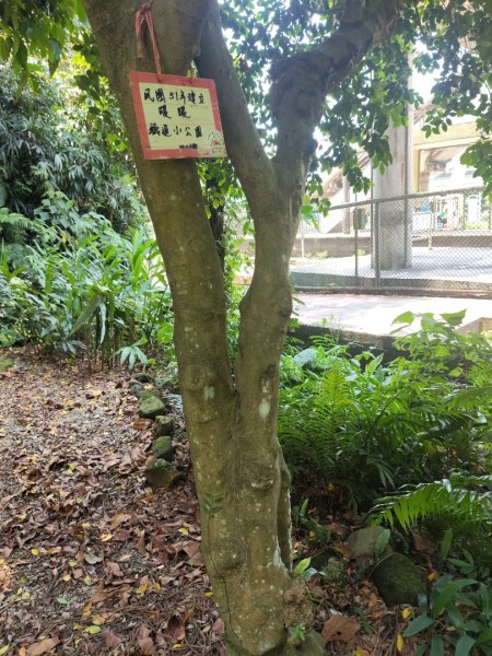 暖暖：暖壽山3082823