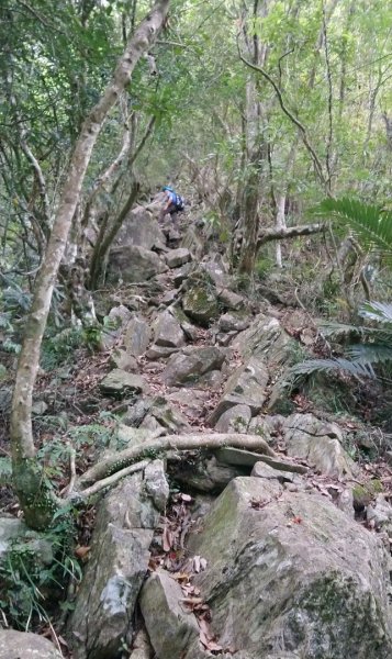 立霧山（小百岳）