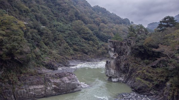 寒流中的一千公尺攀升。芝生毛台山1960222