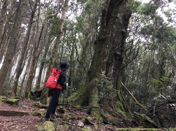 船形鞍馬 小雪山國家步道297788