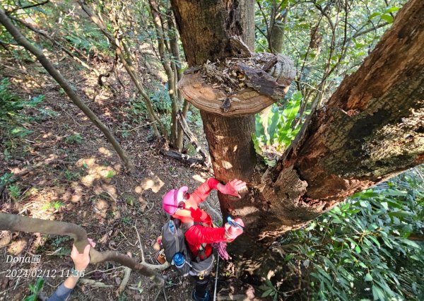 粗坑口尖.碇內尖.龍門山O型2985717