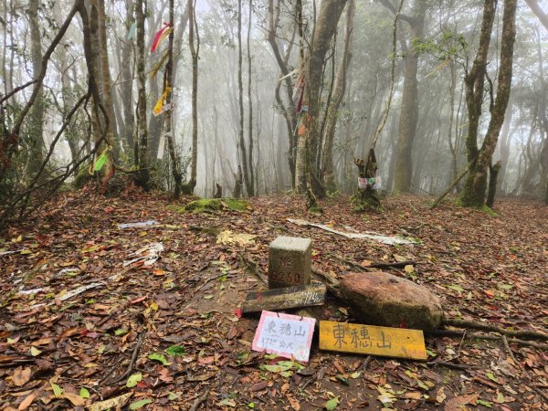 【中級山縱走】魯壁山，東穗山，大島田山，宇老觀景台2771655