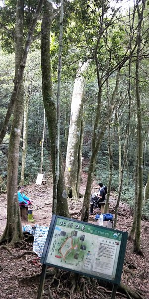 內鳥嘴山，北得拉曼神木群步道，瀑布初體驗1062648