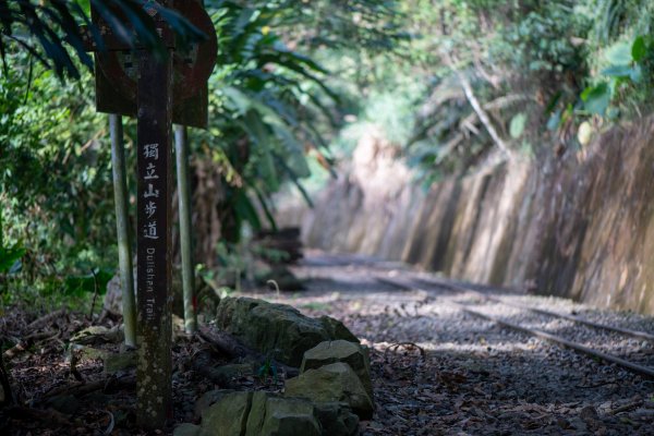 樟腦寮-太平老街用走的788530