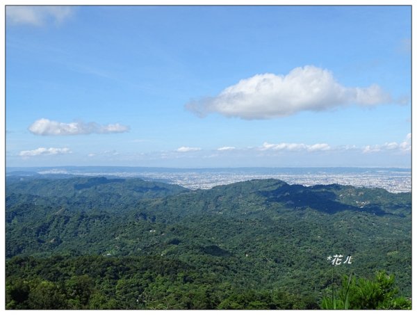 台中/大坑4號步道634926