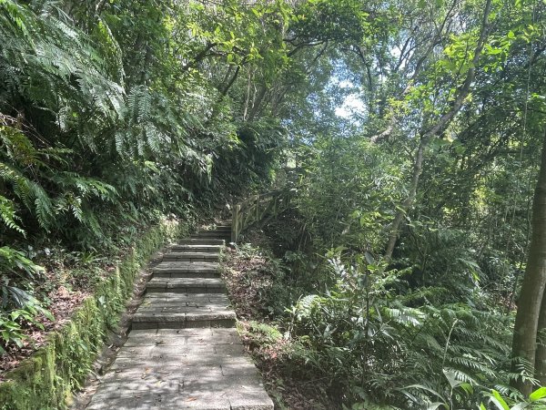 小百岳編號14-土庫岳、土庫岳東峰、山豬淚湖、山豬窟尖、山豬窟尖西南峰2154777