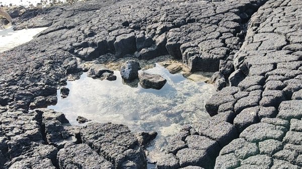 韓國濟州島：挟才海水浴場2912165