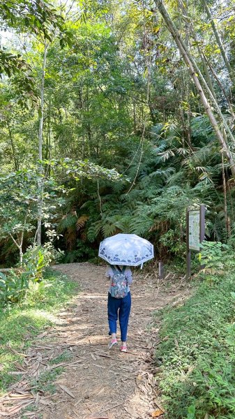 【南投魚池】澀水森林步道2933035