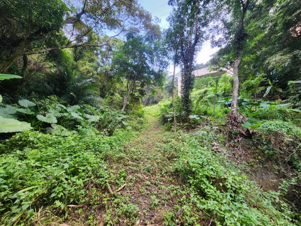 20241215富浪波山鹹菜棚街與打牛崎步道2691602