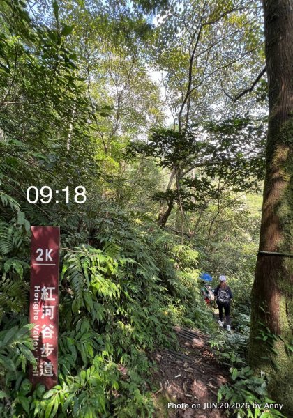 輕鬆的森林浴步道——紅河谷步道3076867