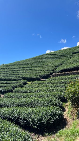 石碇_鱷魚島、千島湖2874913