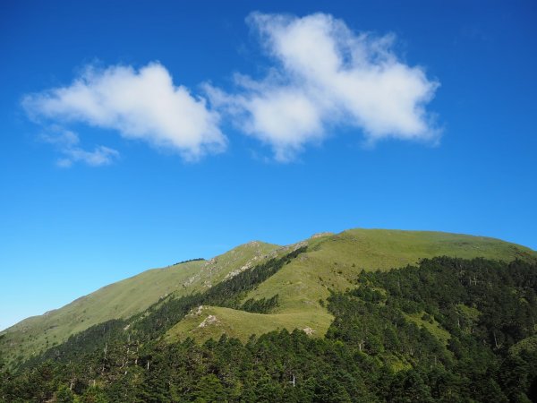 奇萊南華高峰之旅兩天一夜⛰️最受歡迎的新手百岳🏘️1833352