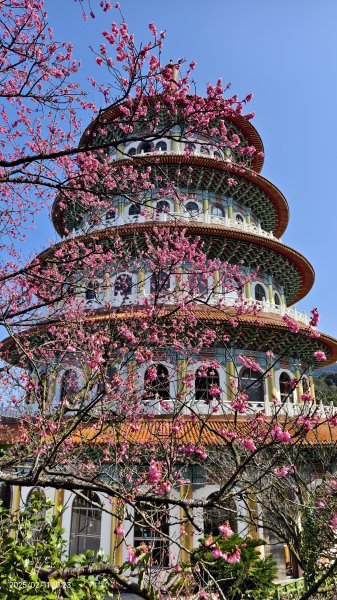 追花是簡單的快樂，賞花是恬淡的幸褔 2/112710559