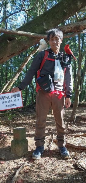 108.12.14台中稍來山（紅榨槭，夕776881