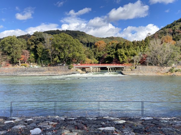 楓之絆----京都大阪賞楓2967331