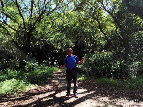 翠山步道、大崙頭尾山親山步道【臺北健走趣】2874311