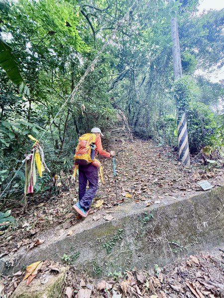 再訪八通關社寮古道登陳東坑山    2025.11.252946112