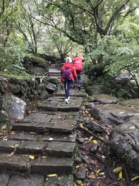 東北季風360度攻擊的草嶺古道241588