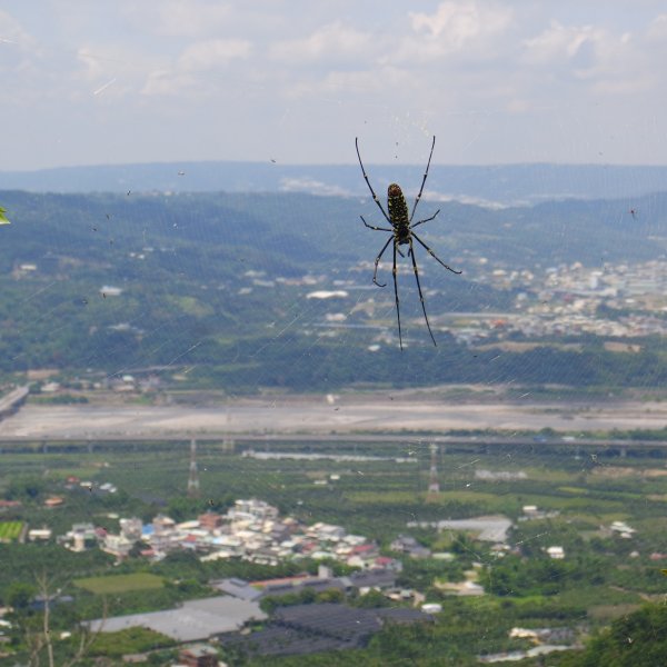 20170624_九九峰865924