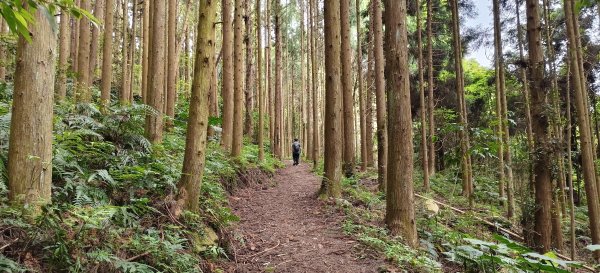 2025/05/03_白蘭溪古道封面