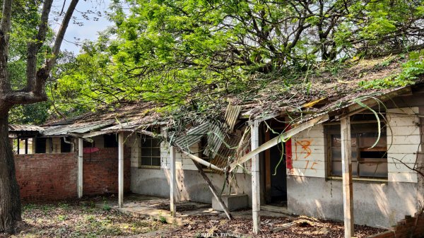 【台灣健行】霧峰．光復：日光滲透的紅磚記憶。3034088