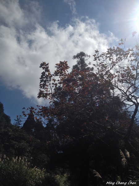 【山岳之美】~大屯主→七星主→ 七星東→夢幻湖→擎天崗5575