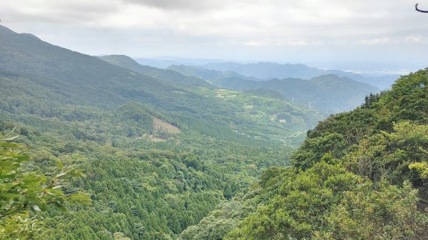 2024-019：南庄中級山縱走一紅毛山、無名山、大坪山O型連走