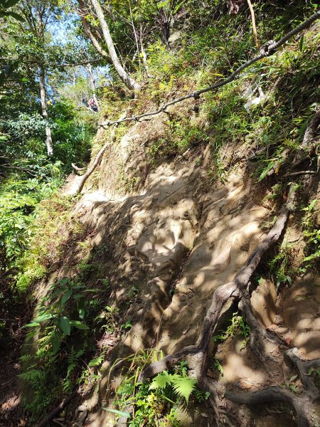 微笑山線：【二格山系】筆架連峰段2920963