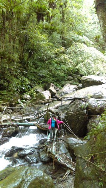 卡保山，逐鹿山O型走455762