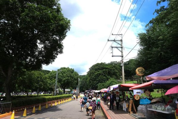 〔台中〕軍功寮山，大坑9號 10號步道。沿路都是攤販 市集的9號登山步道2278052