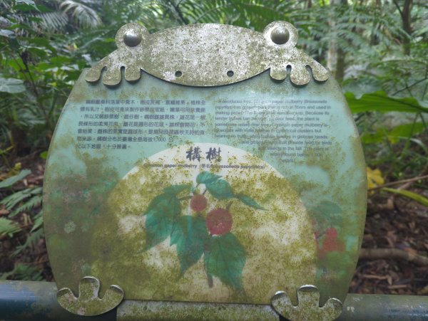 2025.12.14－微笑山線：【二格山系】和美山螢火蟲段2966243