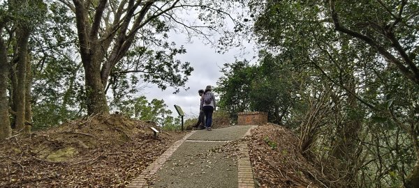 2026/02/01 十二寮古道2992744