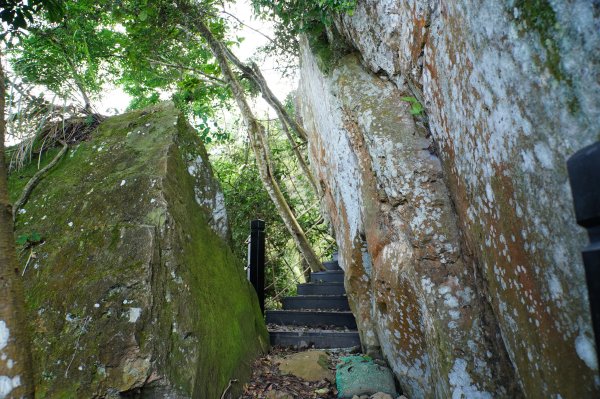 台中 和平 埋伏坪山2924987