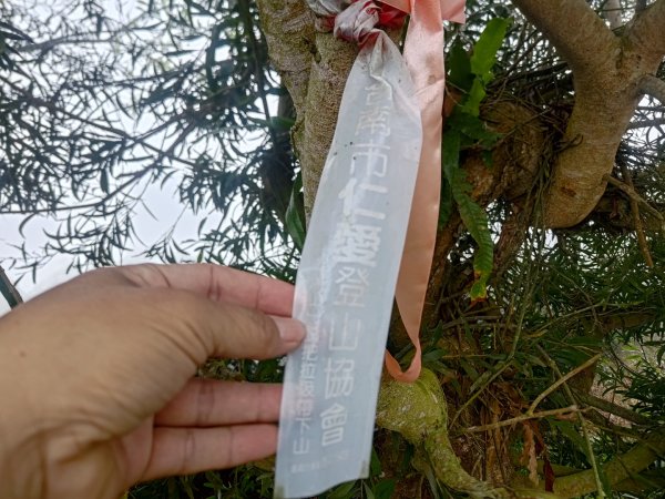 梅山鄉撿山頭2449388