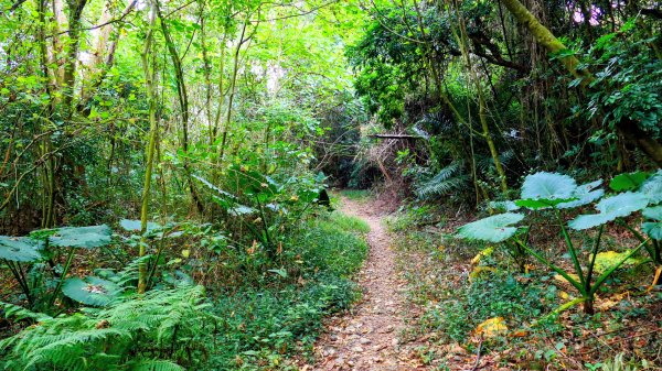大崗山,盤龍峽谷2954516