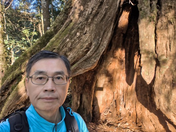 金柑樹、嶺頭山、忘憂森林2956105