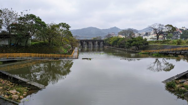 新竹關西亂亂走2422372