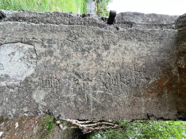 20250503_李棟山步道（新竹小百岳）2855861