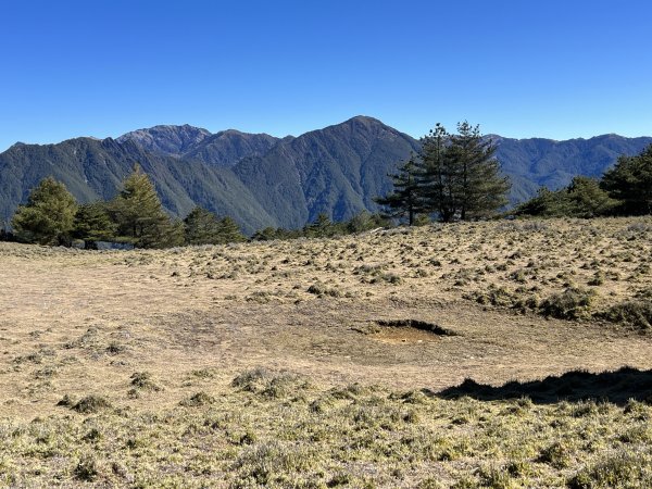 【駒盆西稜上馬博下嘆息灣D2】駒盆谷、積雪馬博拉斯山2443705