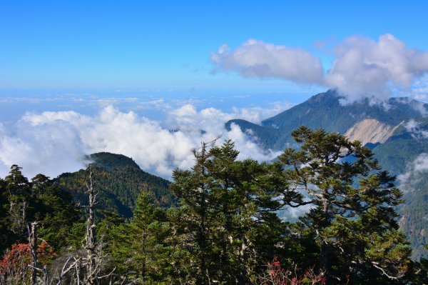 郡大山1902231