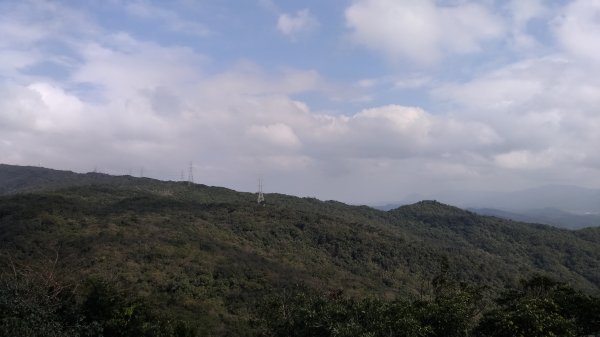 鯉魚山+忠勇山+大崙頭尾山+圓覺寺步道519578